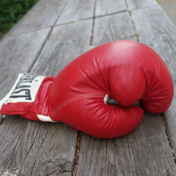 Everlast 2112 Lace Up Red Boxing Gloves Made in U.S.A. - Picture 14 of 16